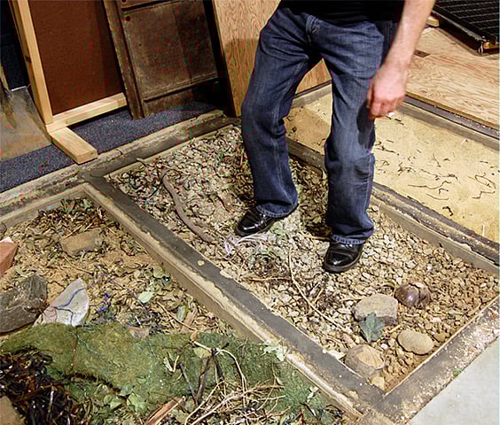 Learning How Great Movies Rely on Great Sound Design