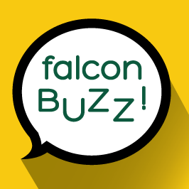 Falcon_buzz