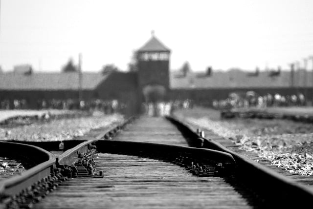 Holocaust_birkenau-402324_640