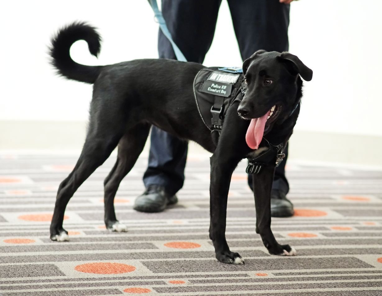 Image_001-Sep-23-2025-12-51-54-4470-PM