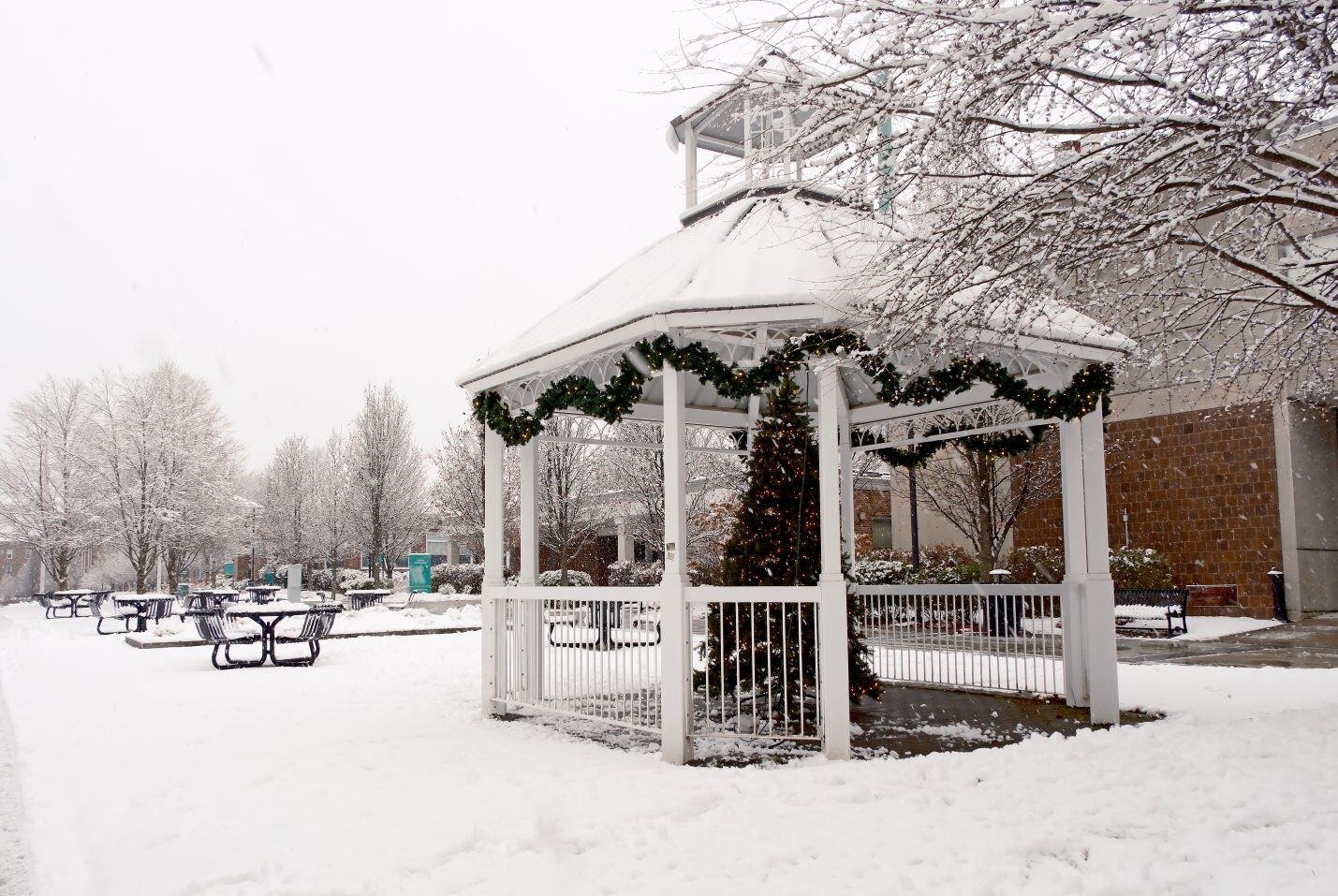 Image_002-Dec-06-2024-05-57-48-9801-PM