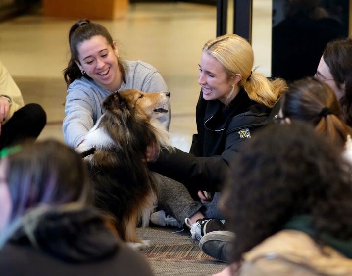 Image_002-Dec-11-2024-02-53-48-4564-PM