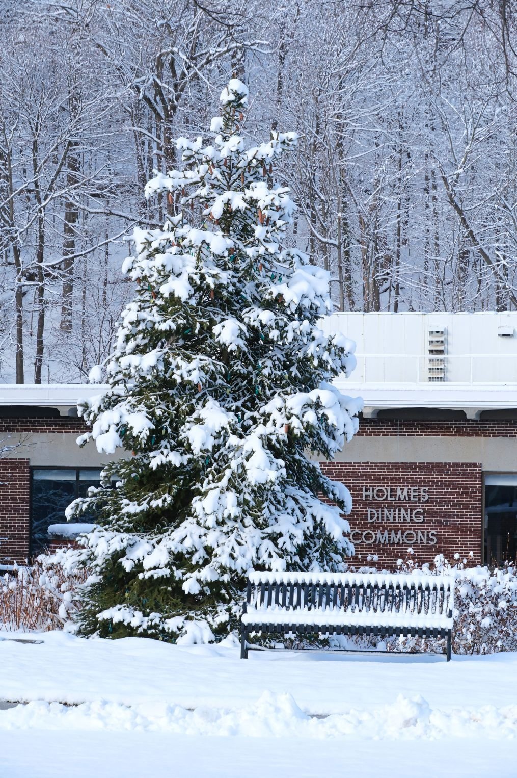 Image_002-Jan-20-2026-01-55-56-6460-PM