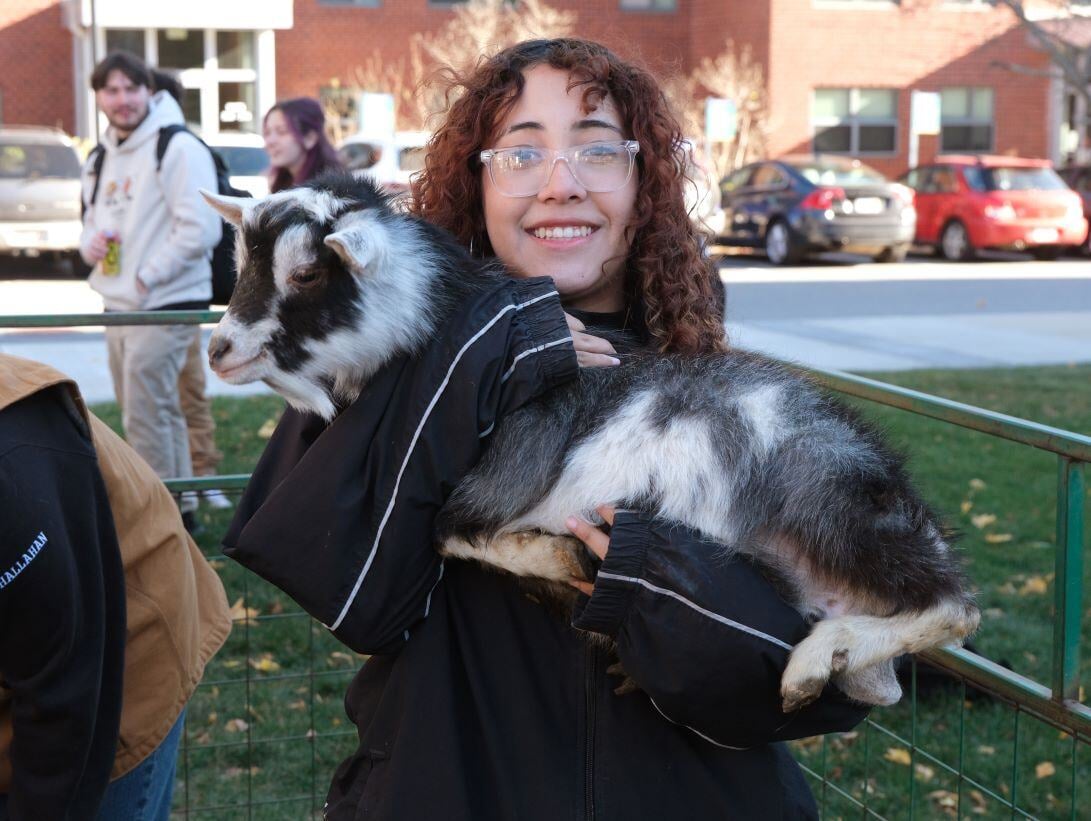 Image_002-Nov-13-2024-08-08-25-3198-PM