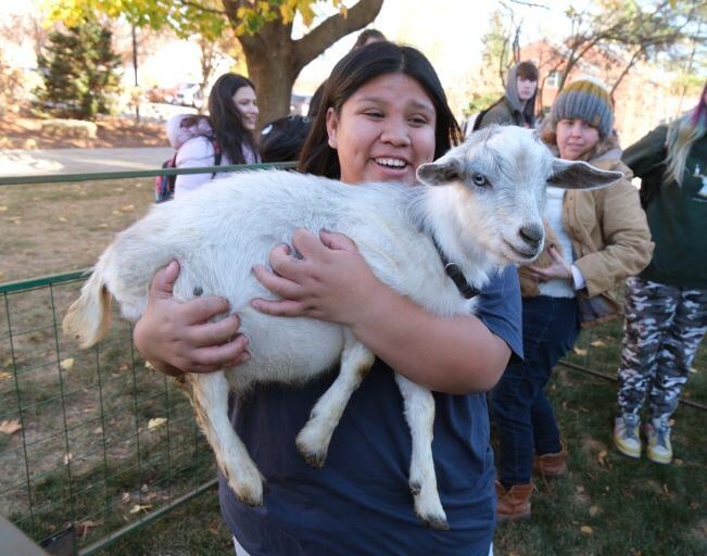 Image_003-Nov-13-2024-08-08-25-2608-PM