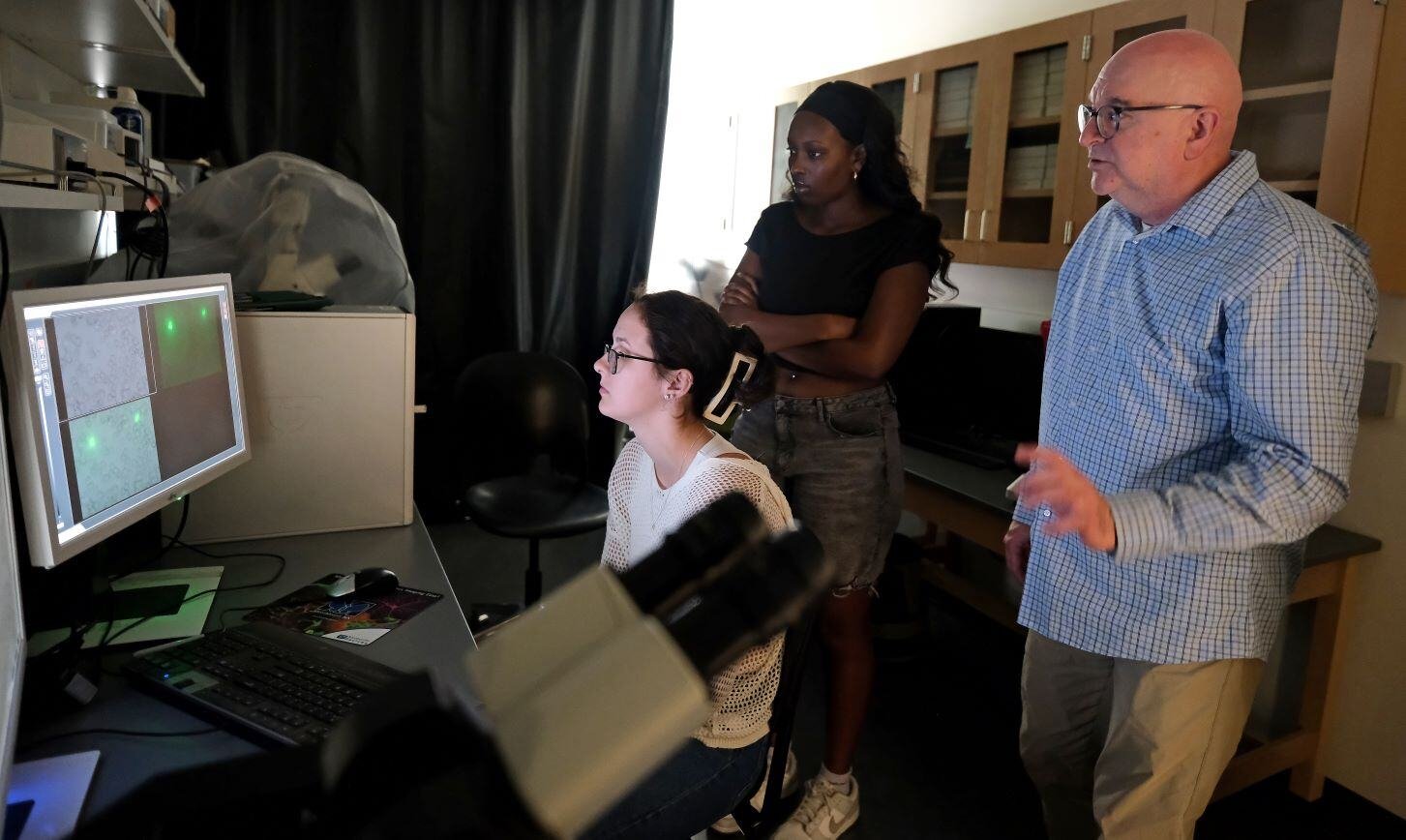 Image_003-Oct-23-2024-02-02-07-8463-PM