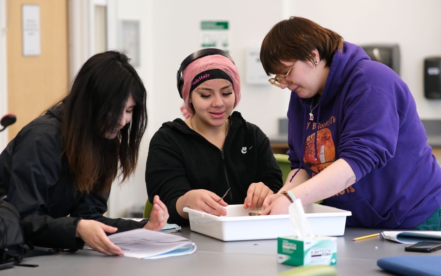 Image_004-Apr-08-2026-07-02-46-6858-PM