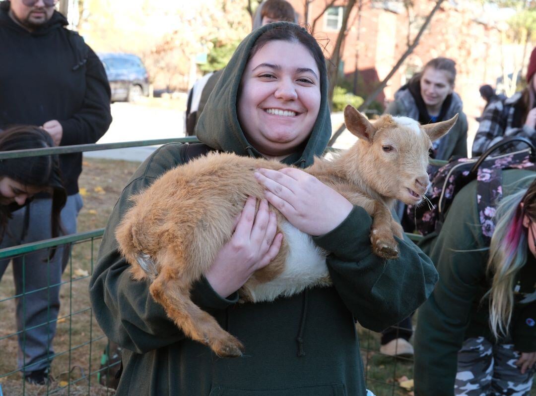 Image_004-Nov-13-2024-08-08-25-2961-PM