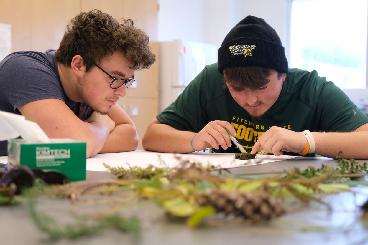 Image_004-Nov-18-2025-12-45-00-7639-PM