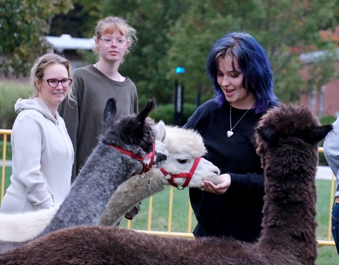 Image_004-Oct-02-2024-06-09-46-9934-PM