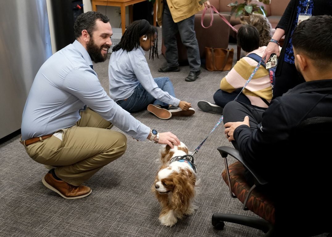 Image_006-Apr-03-2026-01-41-41-9068-PM