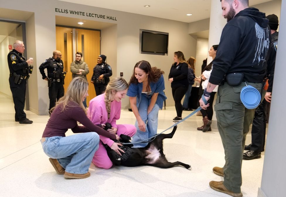 Image_006-Dec-11-2025-05-58-08-8820-PM