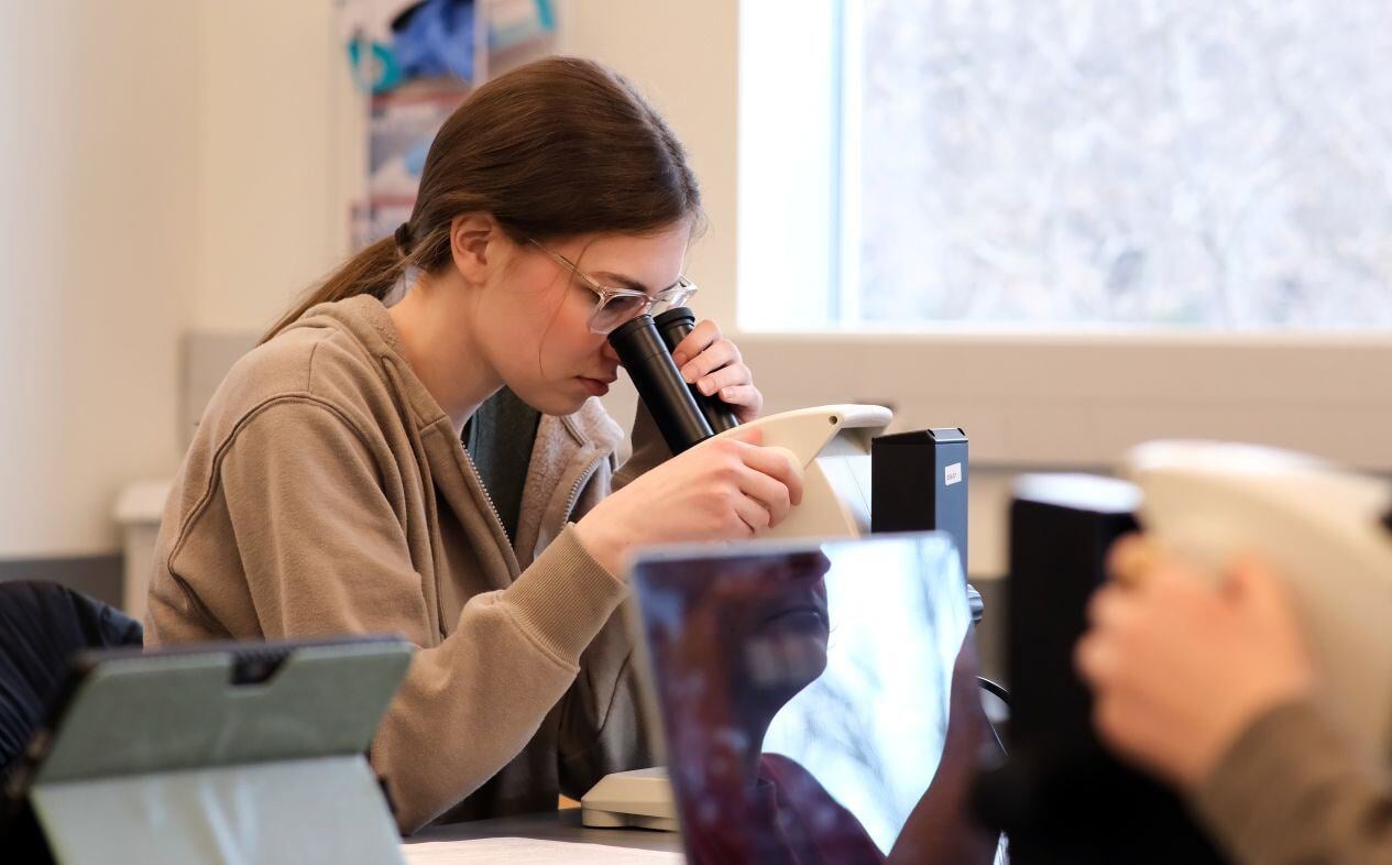 Image_006-Jan-29-2025-08-06-54-7258-PM