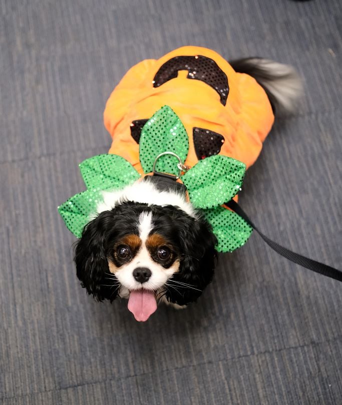 Image_006-Oct-26-2023-12-47-18-3097-PM