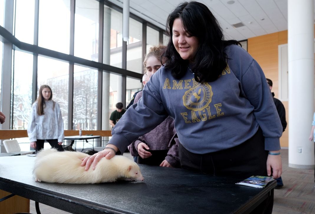 Image_007-Dec-04-2025-01-38-41-5425-PM