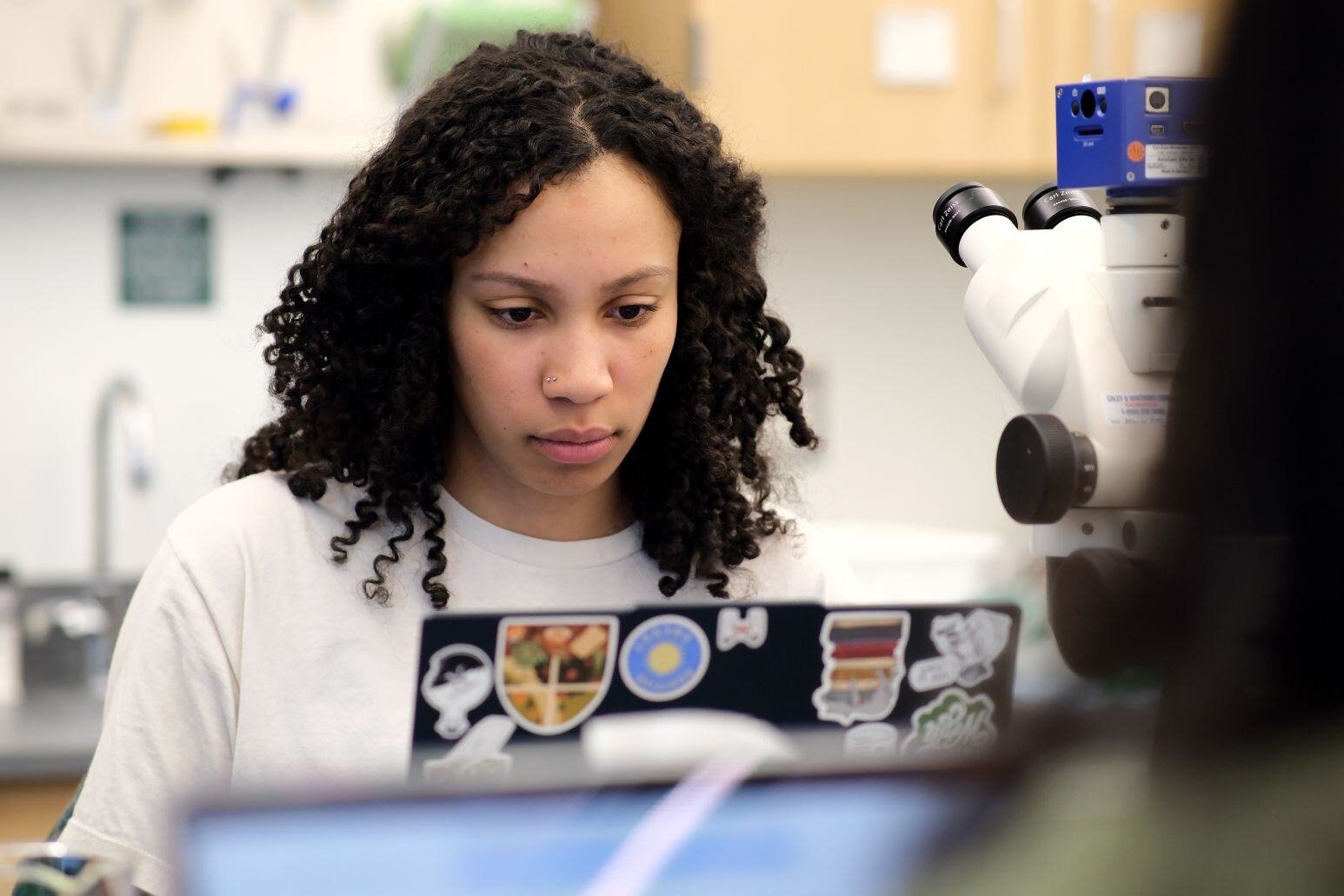 Image_008-Apr-04-2025-01-32-40-7518-PM