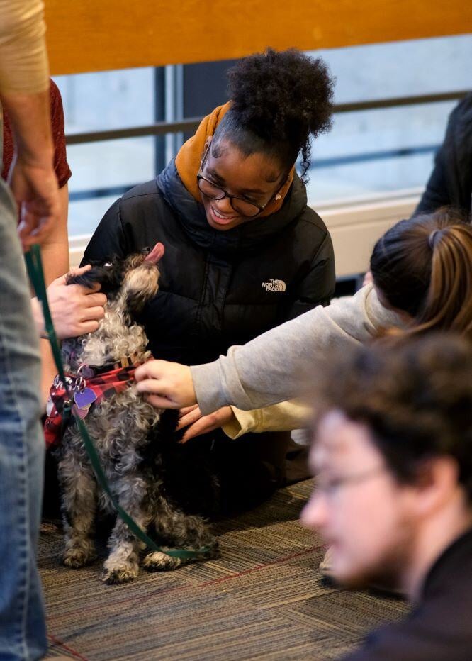 Image_008-Dec-11-2024-02-53-48-4566-PM