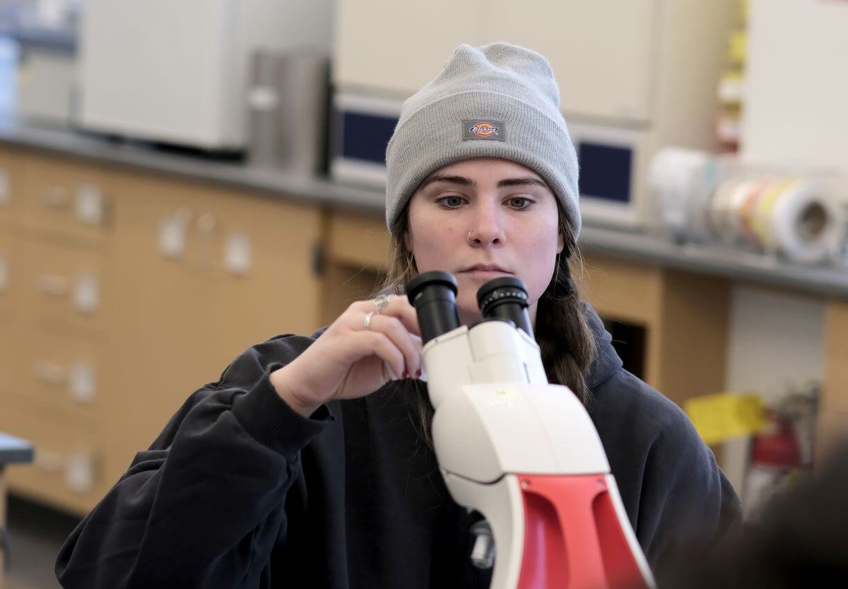 Image_008-Jan-21-2025-04-04-12-9910-PM