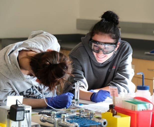 Image_008-Oct-18-2024-12-34-18-4304-PM