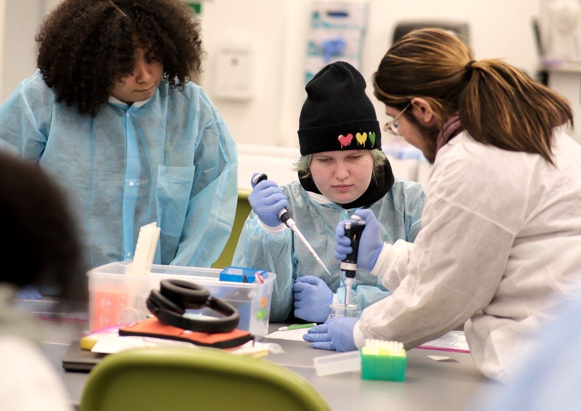 Image_010-Jan-27-2025-01-58-41-4887-PM