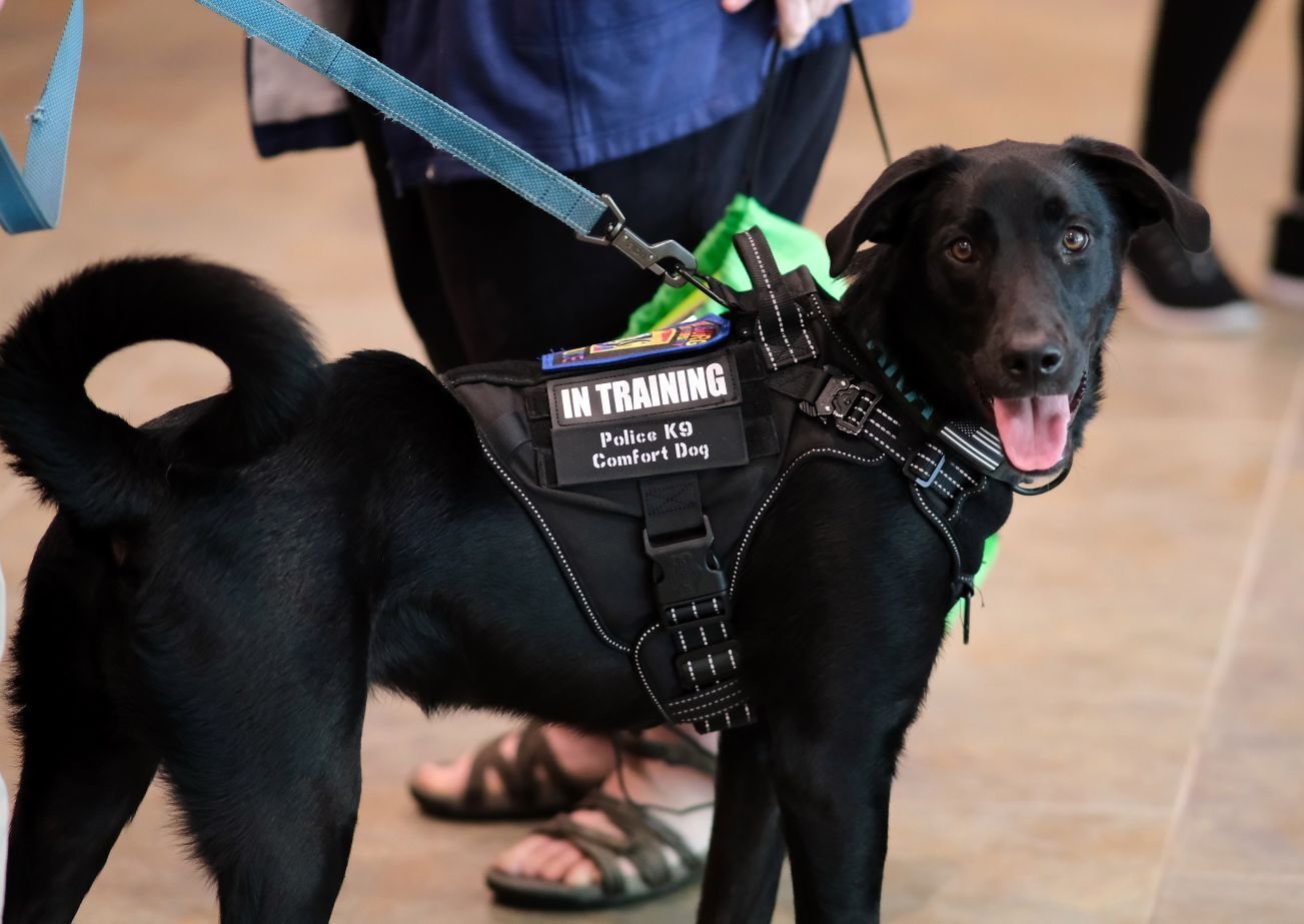 Image_011-Jun-12-2025-05-41-27-2806-PM