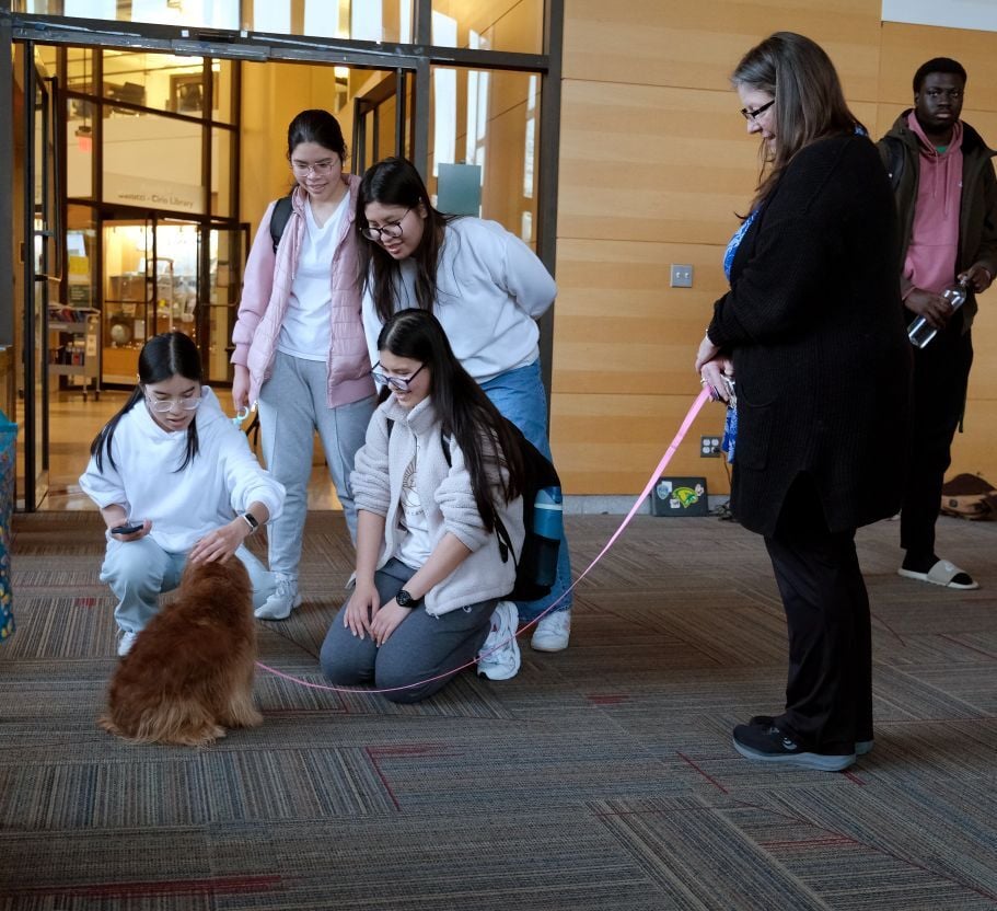 Image_011-Nov-19-2025-01-38-24-4820-PM