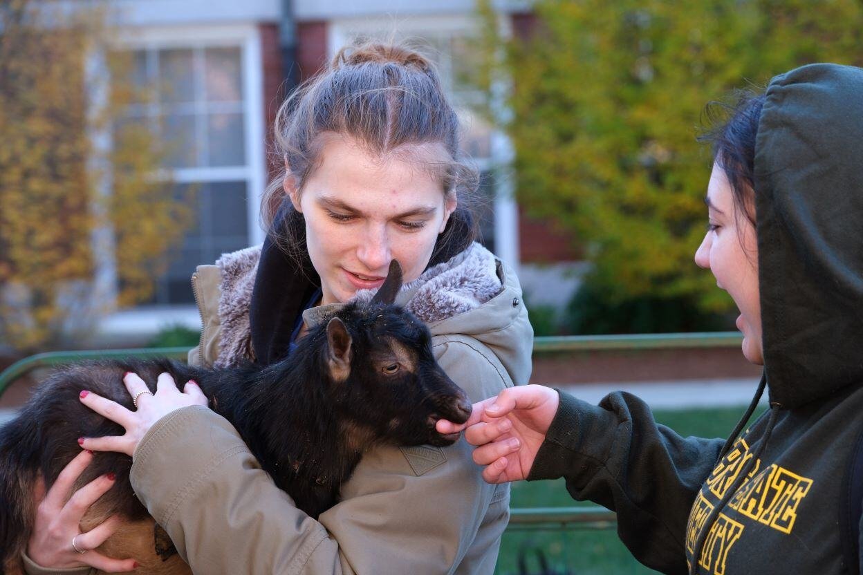 Image_012-Nov-13-2024-08-08-25-3506-PM