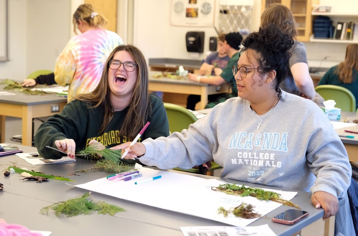 Image_012-Nov-18-2025-12-45-00-8422-PM