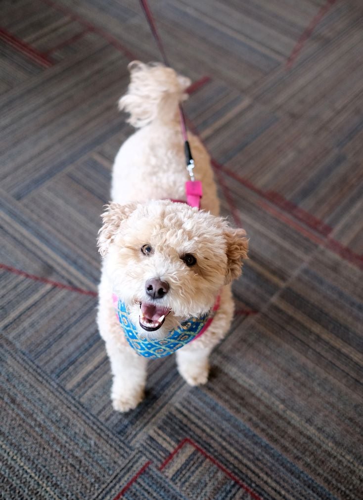 Image_012-Oct-26-2023-12-47-18-2854-PM