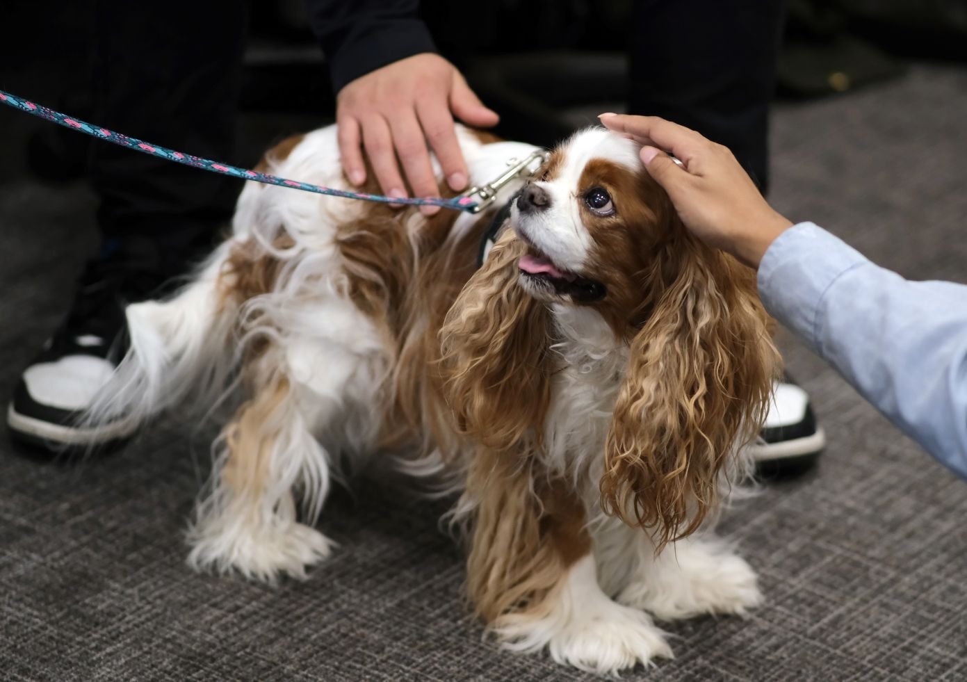 Image_013-Apr-03-2026-01-41-41-8931-PM