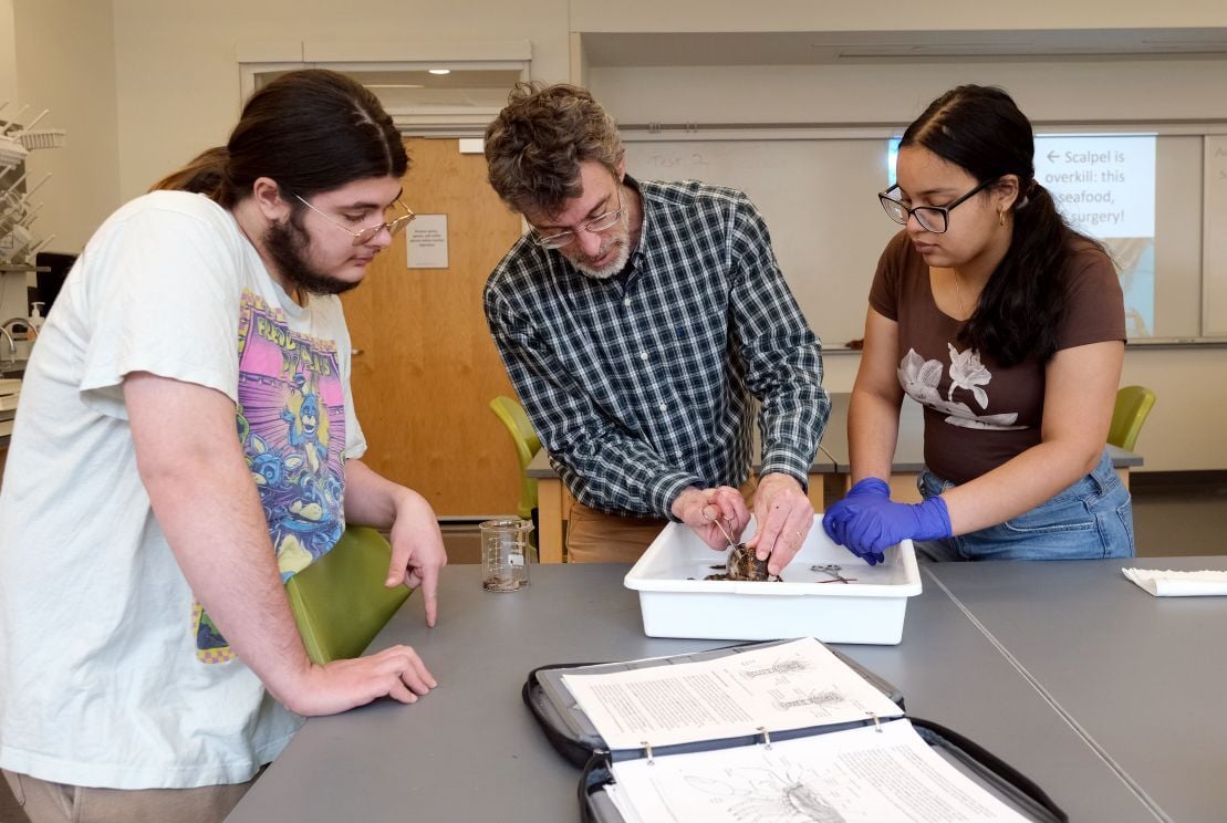 Image_014-Apr-08-2026-07-02-46-6208-PM