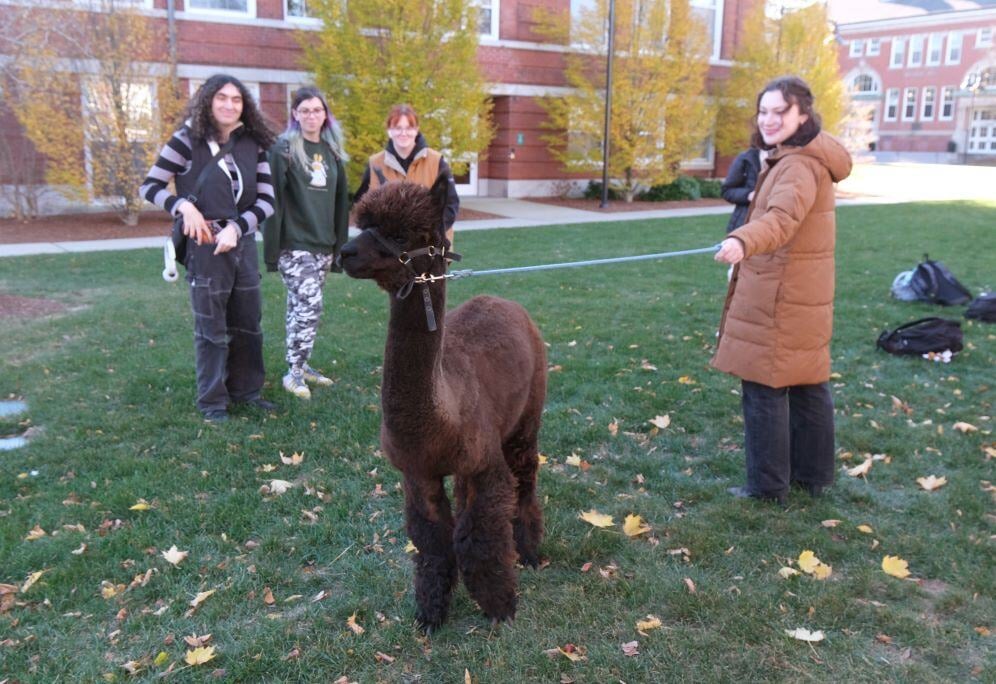 Image_015-Nov-13-2024-08-08-25-3550-PM