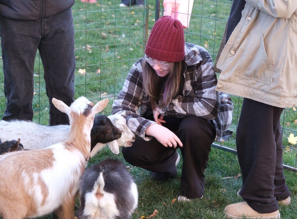 Image_016-Nov-13-2024-08-08-25-6933-PM