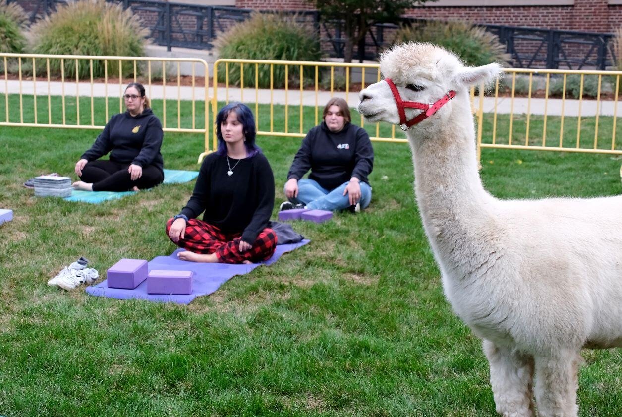 Image_016-Oct-02-2024-06-09-47-0837-PM