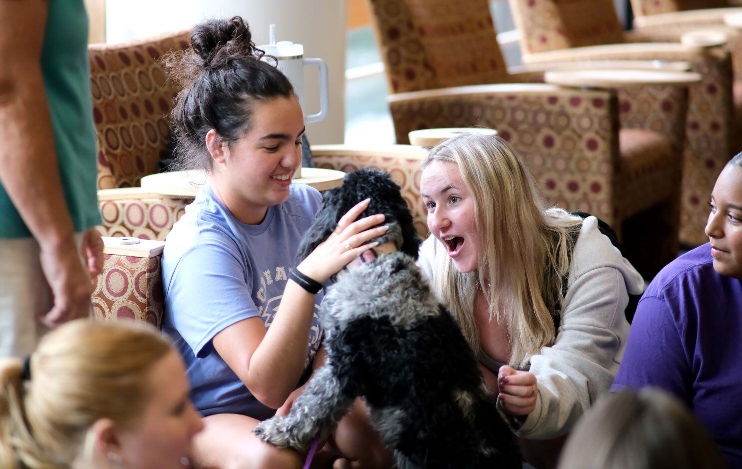 Image_018-Sep-18-2024-01-20-46-9073-PM