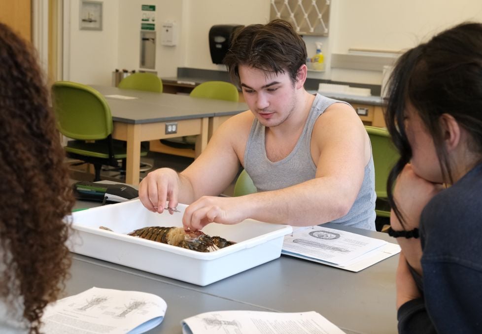 Image_019-Apr-08-2026-07-02-46-5431-PM