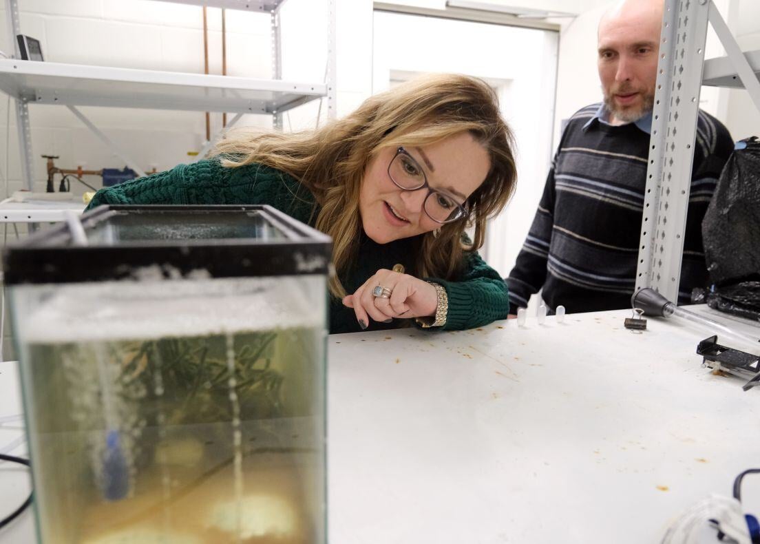 Image_019-Feb-27-2025-05-34-37-5050-PM