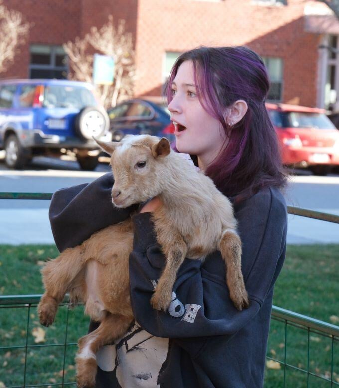 Image_020-Nov-13-2024-08-08-25-7443-PM