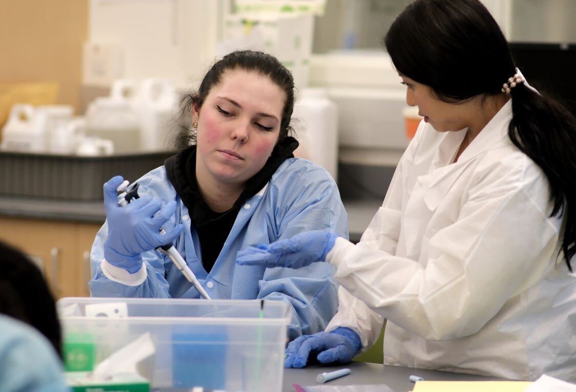 Image_021-Jan-27-2025-01-58-41-4757-PM