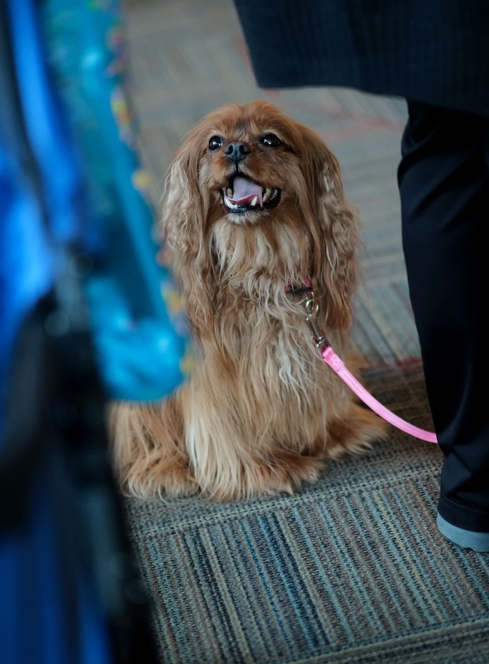 Image_021-Nov-19-2025-01-38-24-5117-PM