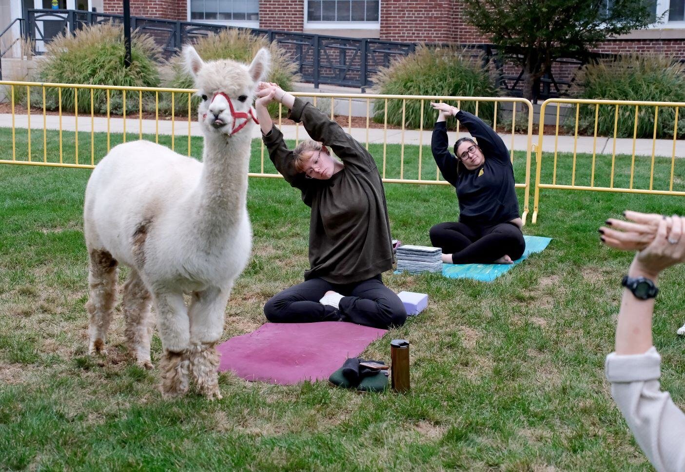 Image_021-Oct-02-2024-06-09-47-1240-PM