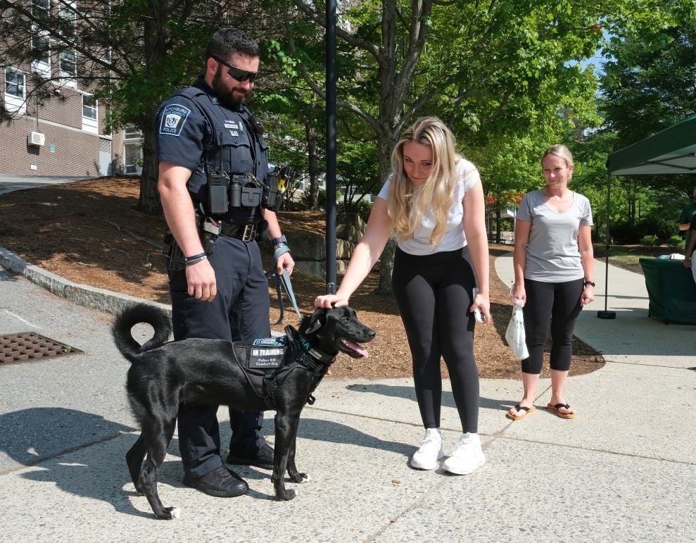 Image_022-Aug-08-2025-04-11-51-7861-PM