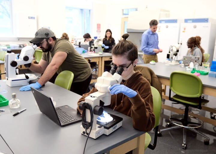 Image_023-Apr-04-2025-01-32-40-7473-PM