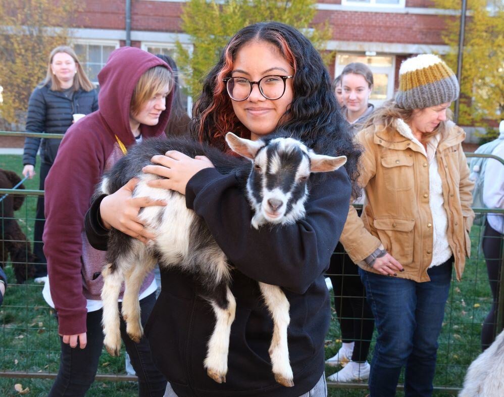 Image_023-Nov-13-2024-08-08-25-6841-PM