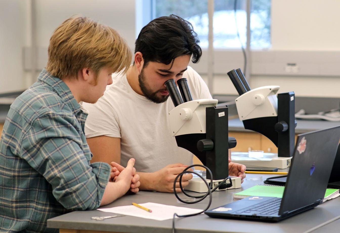 Image_025-Jan-29-2025-08-06-54-7767-PM