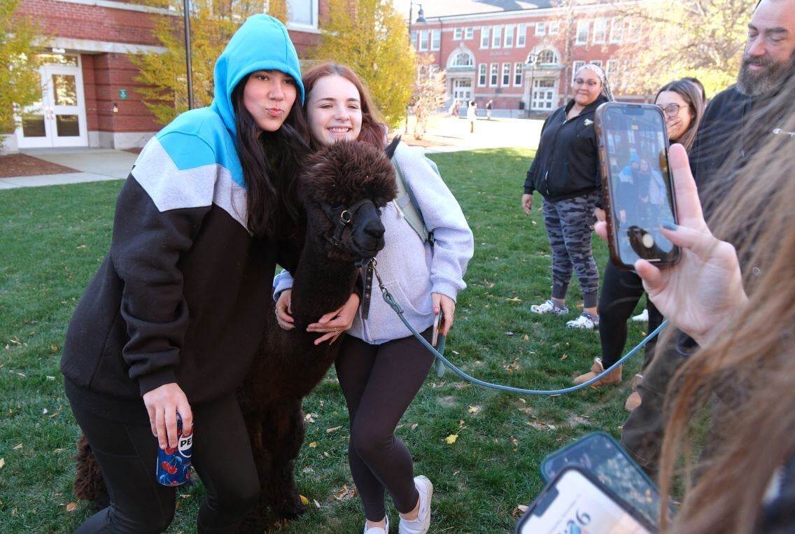 Image_026-Nov-13-2024-08-08-26-2308-PM