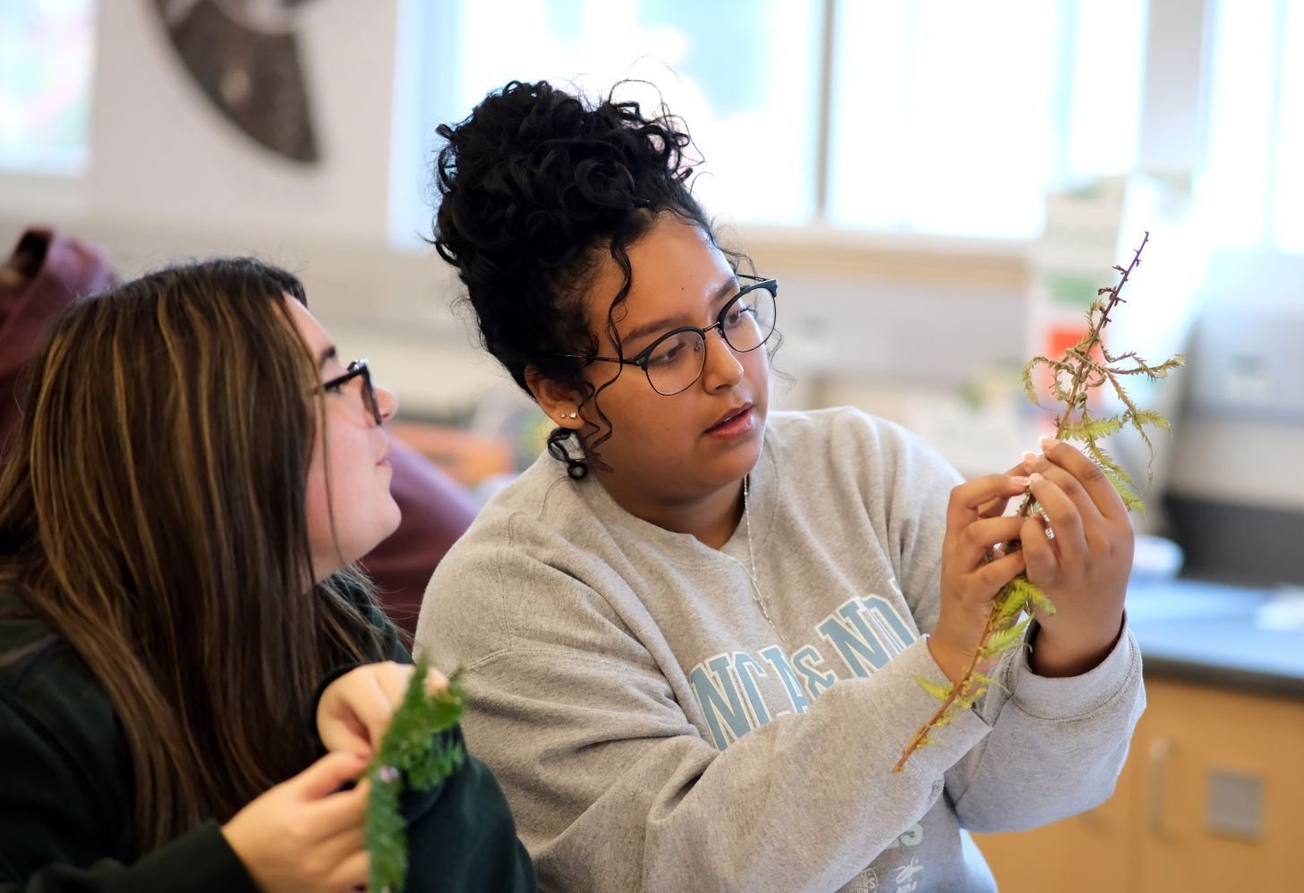 Image_027-Nov-18-2025-12-45-00-4794-PM