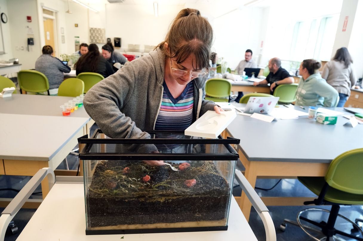 Image_032-Jul-17-2025-12-14-37-5697-PM