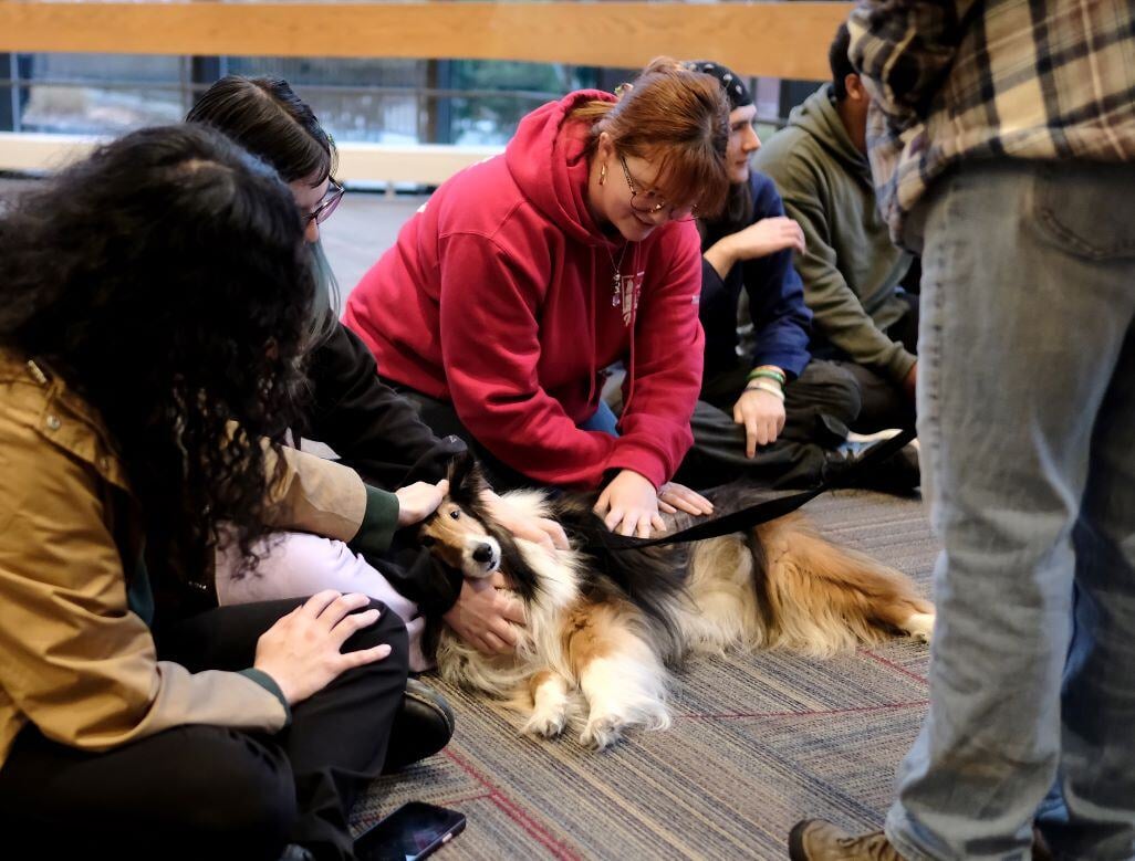 Image_034-Dec-11-2024-02-53-48-7803-PM