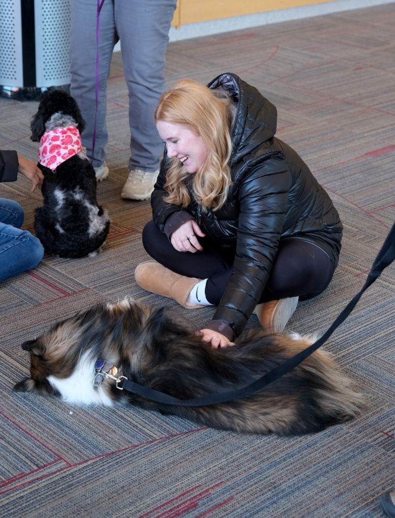 Image_034-Jan-24-2025-01-21-33-2450-PM